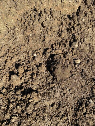 Lehm- und Klippboden - AVV 17 05 04 – Bild 2